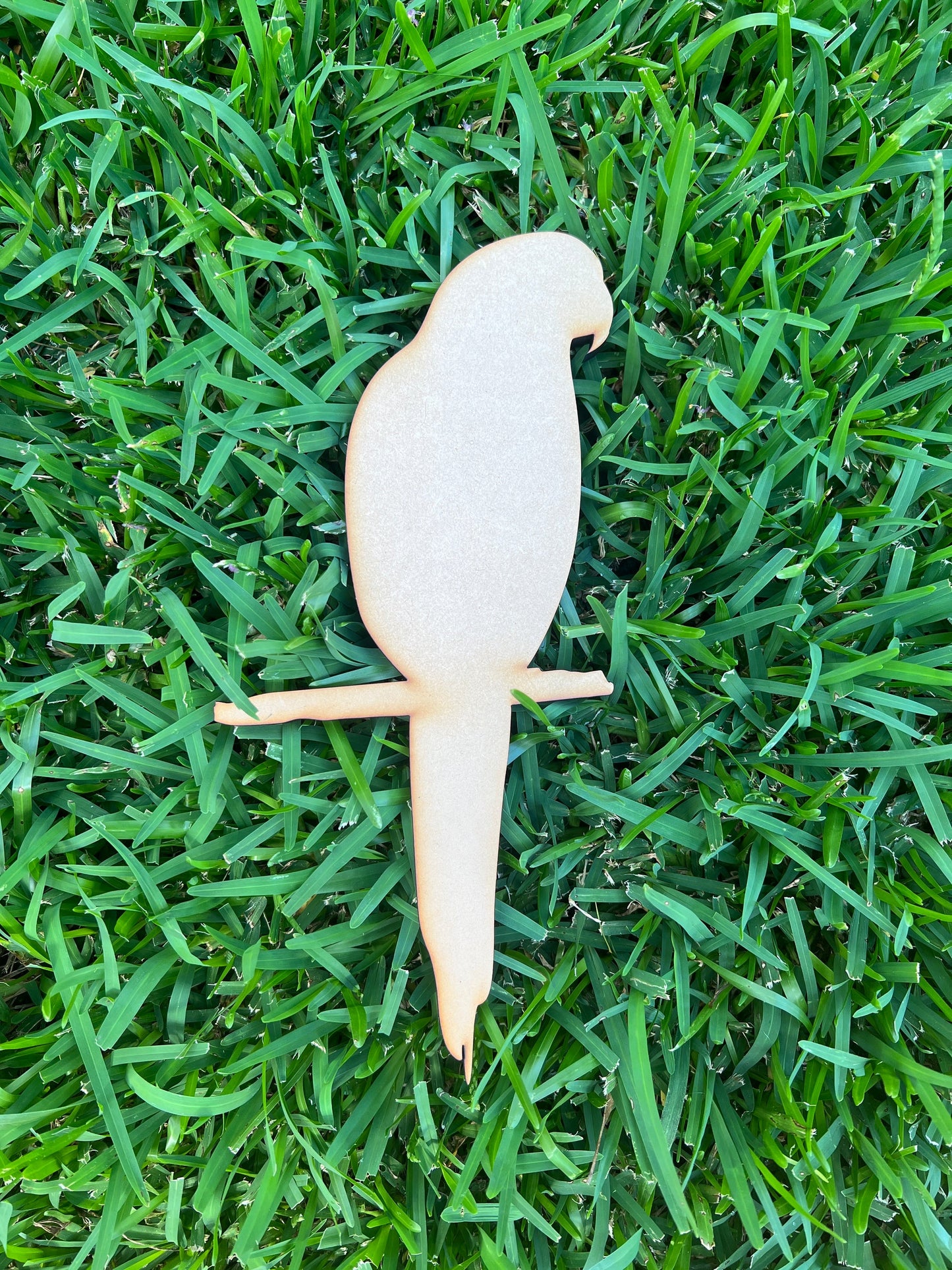 Parrot on Perch Shape MDF Art Board, Resin Board, Art Blank, Craft Blank ~3mm/6mm/9mm thickness available~