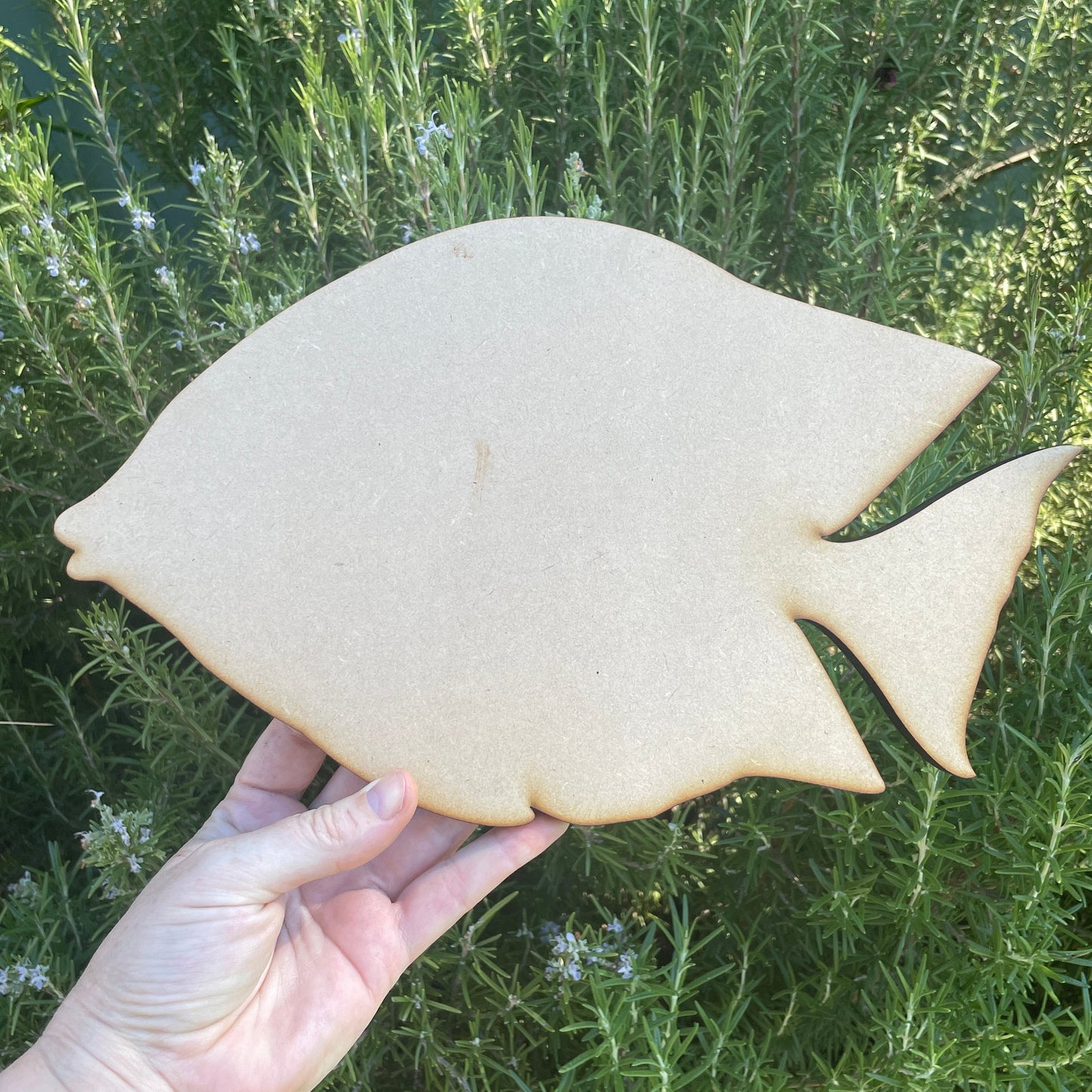 Tropical Fish Shape MDF Art Board, Resin Board, Art Blank, Craft Blank ~3mm/6mm/9mm thickness available~