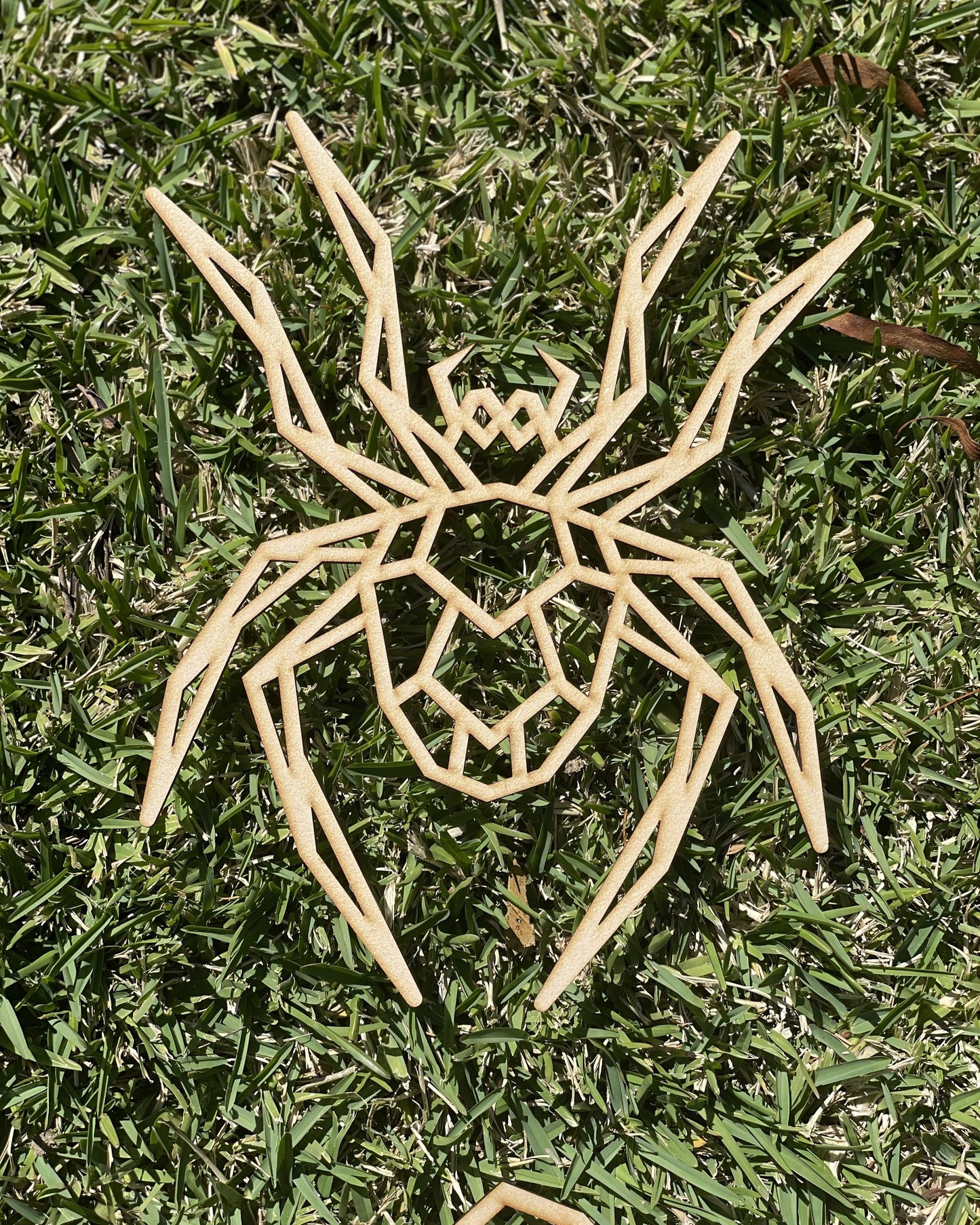 Geo Spider Cut-Out Shape MDF Art Board, Resin Board, Art Blank, Craft Blank ~3mm/6mm/9mm thickness available~